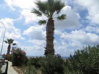 Paphos &ndash; &copy; Marianne Schulze (Eberhardt TRAVEL)