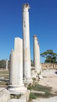 Ausgrabungsstätte Salamis &ndash; &copy; Mario Scheinert (Eberhardt TRAVEL)
