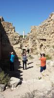 Ausgrabungsstätte Salamis &ndash; &copy; Mario Scheinert (Eberhardt TRAVEL)