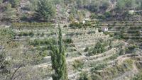 Agros &ndash; &copy; Mario Scheinert (Eberhardt TRAVEL)