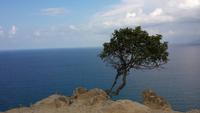 auf der Akamashalbinsel &ndash; &copy; Mario Scheinert (Eberhardt TRAVEL)