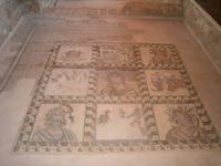 Haus des Dionysos - Bodenmosaik