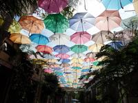 der etwas andere Sonnenschutz &ndash; &copy; Stefan Börner (Eberhardt TRAVEL)