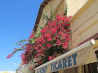 &copy; Laura Wonneberger (Eberhardt TRAVEL)