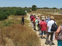 in Salamis &ndash; &copy; Mario Scheinert (Eberhardt TRAVEL)