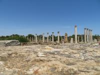 in Salamis &ndash; &copy; Mario Scheinert (Eberhardt TRAVEL)