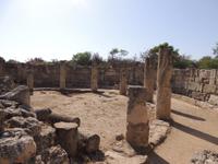 Ausgrabungsstätte Salamis &ndash; &copy; Juliane Schwarze (Eberhardt TRAVEL)