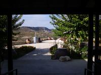 Weingut 