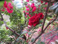 Rosenmanufaktur Agros &ndash; &copy; Carina Henn (Eberhardt TRAVEL)