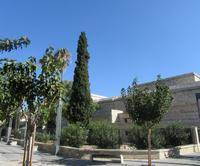 Limassol &ndash; &copy; Peggy Pfützner (Eberhardt TRAVEL)