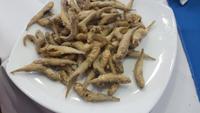Fisch-Meze-Essen &ndash; &copy; Maxi Goldbach (Eberhardt TRAVEL)