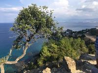 Akamas Naturschutzgebiet &ndash; &copy; Laura Wonneberger (Eberhardt TRAVEL)