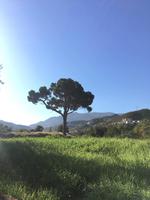 Scheunendachkirchen &ndash; &copy; Laura Wonneberger (Eberhardt TRAVEL)
