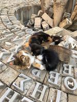 Nikosia &ndash; &copy; Laura Wonneberger (Eberhardt TRAVEL)