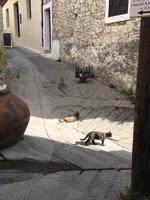 Weindorf Omodhos &ndash; &copy; Laura Wonneberger (Eberhardt TRAVEL)