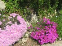 Flora &ndash; &copy; Bianca Demmer (Eberhardt TRAVEL)