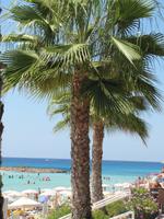 Nissi Beach - Agia Napa &ndash; &copy; Jacob Spangenberg (Eberhardt TRAVEL)