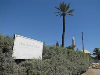 Hala Sultan Tekke bei Larnaca  &ndash; &copy; Jacob Spangenberg (Eberhardt TRAVEL)