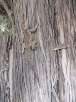 na wer ist denn da!? &ndash; &copy; Jacob Spangenberg (Eberhardt TRAVEL)
