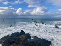Pigeon Point  &ndash; &copy; Mareike Schmidt (Eberhardt TRAVEL)