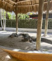 Everglades &ndash; &copy; Mareike Schmidt (Eberhardt TRAVEL)