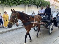 Cartagena  &ndash; &copy; Roswitha Zytowski (Eberhardt TRAVEL)