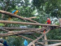 Cartagena am Hafen &ndash; &copy; Roswitha Zytowski (Eberhardt TRAVEL)