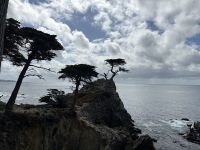 Pebble Beach &ndash; &copy; Sabine Letzybyll (Eberhardt TRAVEL)