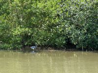 Boca La Boquilla &ndash; &copy; Sabine Letzybyll (Eberhardt TRAVEL)
