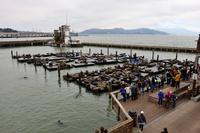 San Francisco, Pier 39 &ndash; &copy; Lars Dittrich (Eberhardt TRAVEL)
