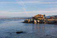 Monterey