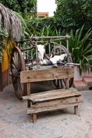 Cabo San Lucas &ndash; &copy; Lars Dittrich (Eberhardt TRAVEL)