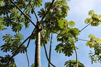 Huatulco &ndash; &copy; Lars Dittrich (Eberhardt TRAVEL)