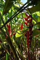 Huatulco &ndash; &copy; Lars Dittrich (Eberhardt TRAVEL)