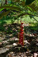 Huatulco &ndash; &copy; Lars Dittrich (Eberhardt TRAVEL)