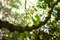 Huatulco &ndash; &copy; Lars Dittrich (Eberhardt TRAVEL)