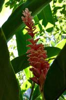 Huatulco &ndash; &copy; Lars Dittrich (Eberhardt TRAVEL)
