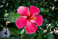 Huatulco &ndash; &copy; Lars Dittrich (Eberhardt TRAVEL)