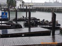 DSCI0014_am Pier 39 &ndash; &copy; Sandra Mahr (Eberhardt TRAVEL)