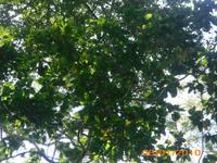 DSCI0261_Ara &ndash; &copy; Sandra Mahr (Eberhardt TRAVEL)