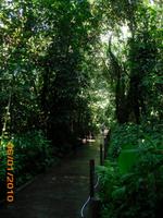 DSCI0263_im Carara Nationalpark &ndash; &copy; Sandra Mahr (Eberhardt TRAVEL)