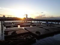 Pier 39 &ndash; &copy; Ngoc Anh Nguyen (Eberhardt TRAVEL)