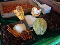 Kakaoherstellung &ndash; &copy; Ngoc Anh Nguyen (Eberhardt TRAVEL)