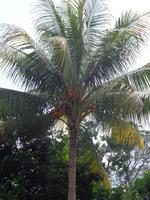 Wegbegleiter &ndash; &copy; Ngoc Anh Nguyen (Eberhardt TRAVEL)