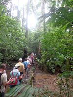 Carara Nationalpark &ndash; &copy; Ngoc Anh Nguyen (Eberhardt TRAVEL)
