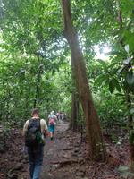 Carara Nationalpark &ndash; &copy; Ngoc Anh Nguyen (Eberhardt TRAVEL)