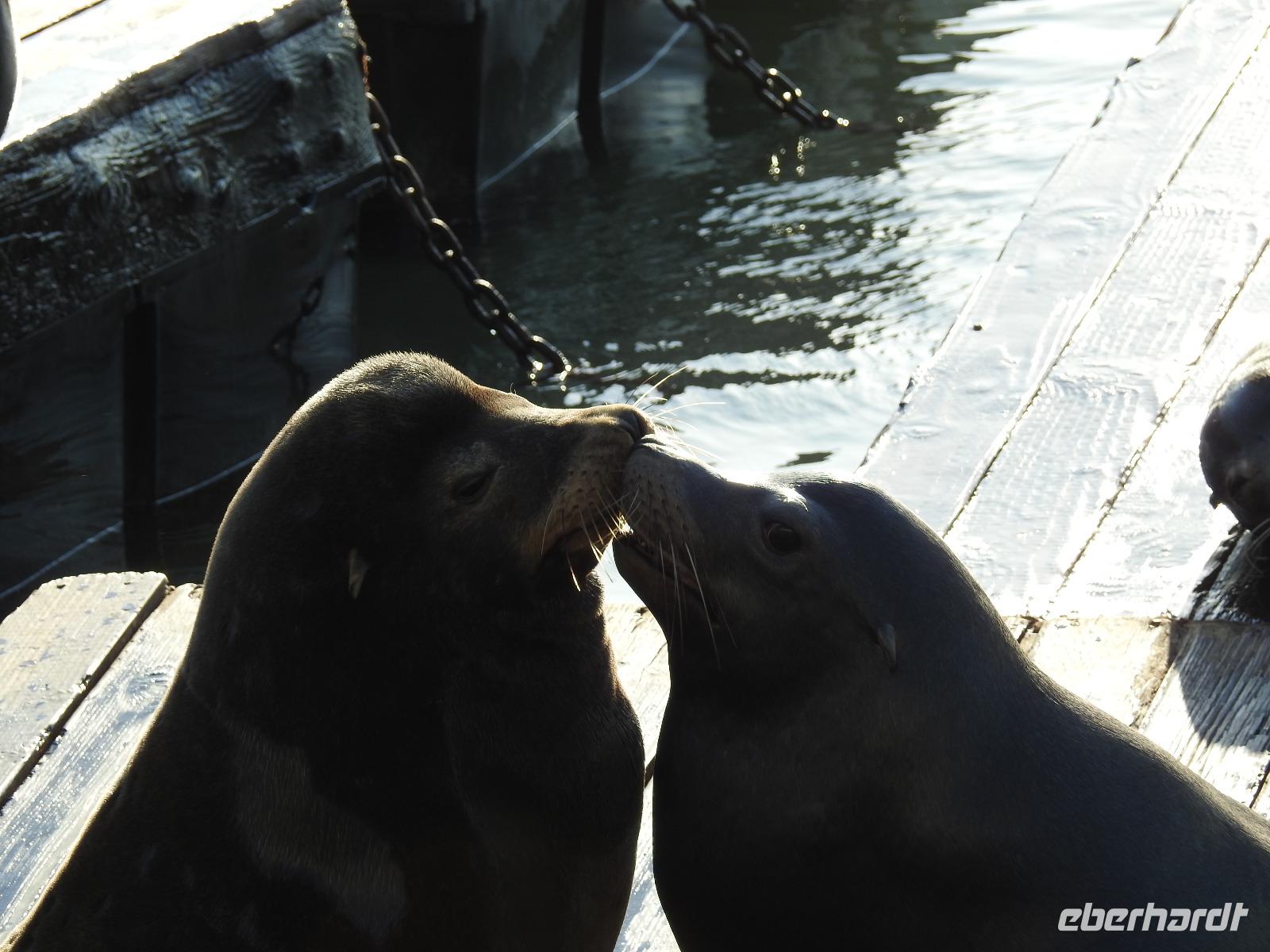 Fishermans Wharf &ndash; &copy; Sabine Letzybyll (Eberhardt TRAVEL)
