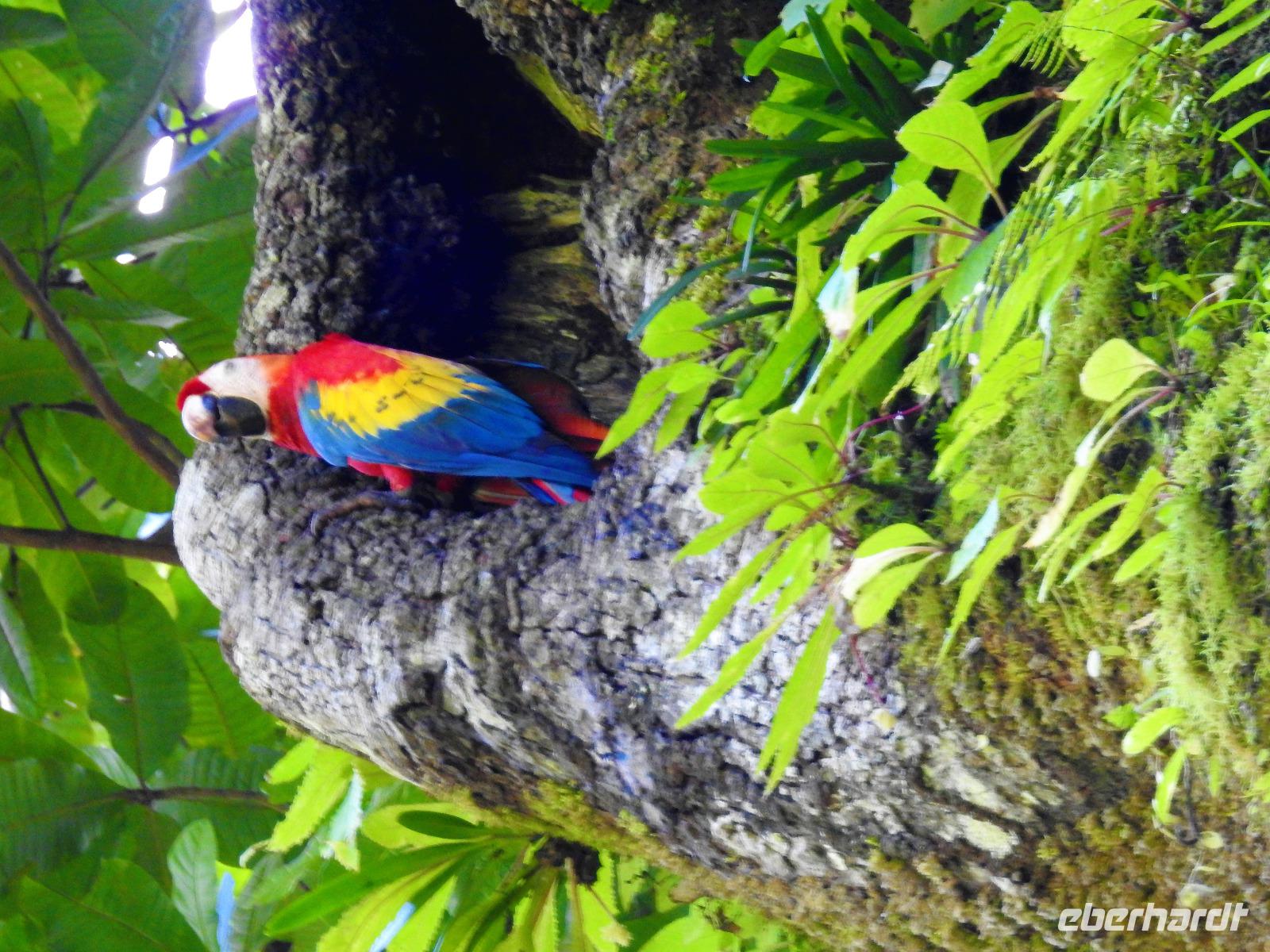 Aras &ndash; &copy; Sabine Letzybyll (Eberhardt TRAVEL)