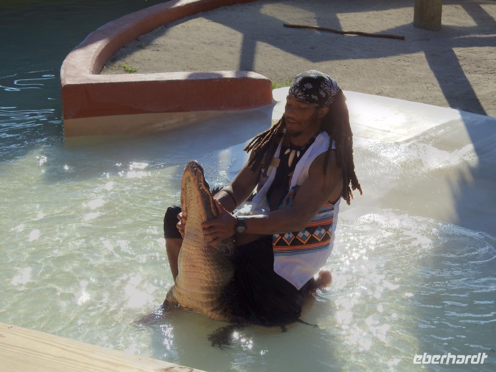 Alligatoren Show &ndash; &copy; Sabine Letzybyll (Eberhardt TRAVEL)