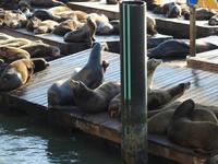 Fishermans Wharf